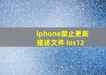 iphone禁止更新描述文件 ios12